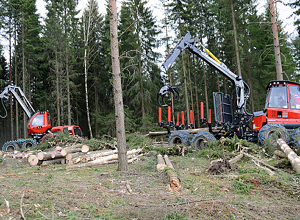 Nye EU-krav kostbart for skogsmaskinbransjen