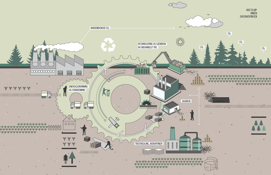 Skognæringens CO2 kretsløp. Illustrasjon: Mona Holm/Fete Typer