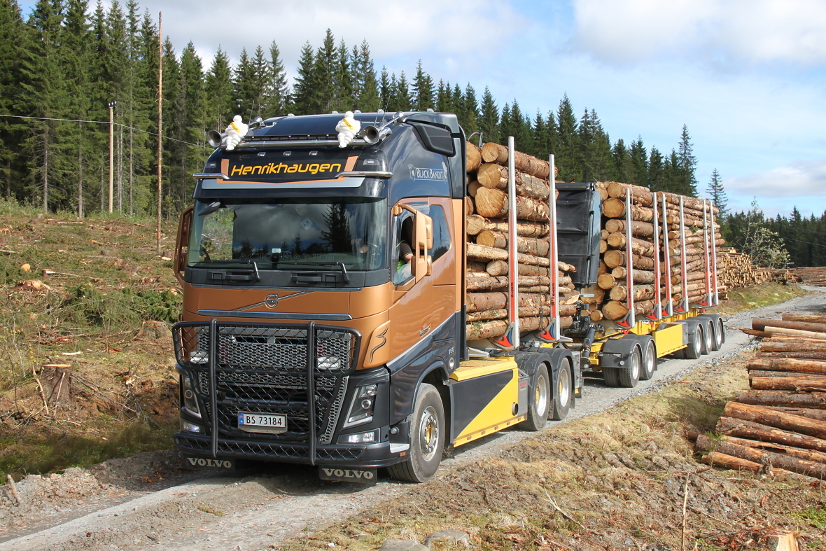 Tømmervogntog på 60 tonn.