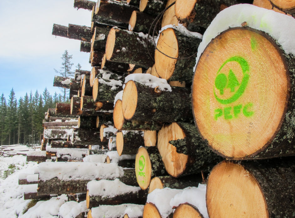 MILJØSERTIFISERT: Den grønne PEFC-logoen betyr at tømmeret kommer fra skog som er drevet på en bærekraftig måte. Norsk skogbruk kartlegger og tar vare på arealer som er viktige for truede dyr og planters livsgrunnlag.  