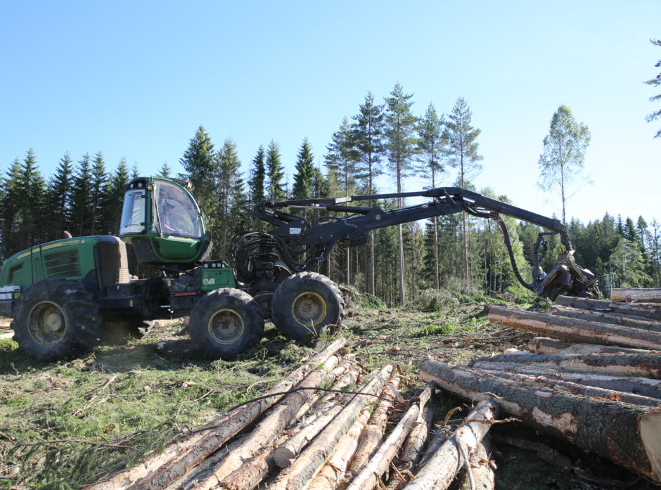Glommen mener skogbruk er inne i en langsiktig, positiv trend, og vil sikre seg tømmer til høsten. 