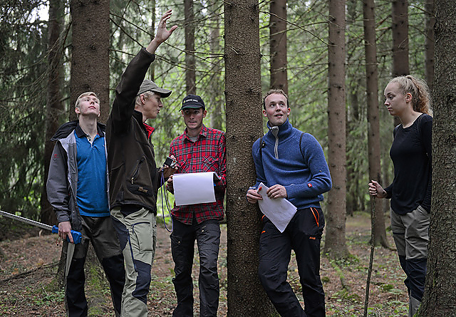 Hvor høy er furua? De rykende ferske NMBU-studentene er på skogtur for å lære skogregistrering. F.v.: Vebjørn Haugen Lindland, Henri Knackstedt, Christian Skyttermoen, Olav With Aasgård og Linnea Laubo.