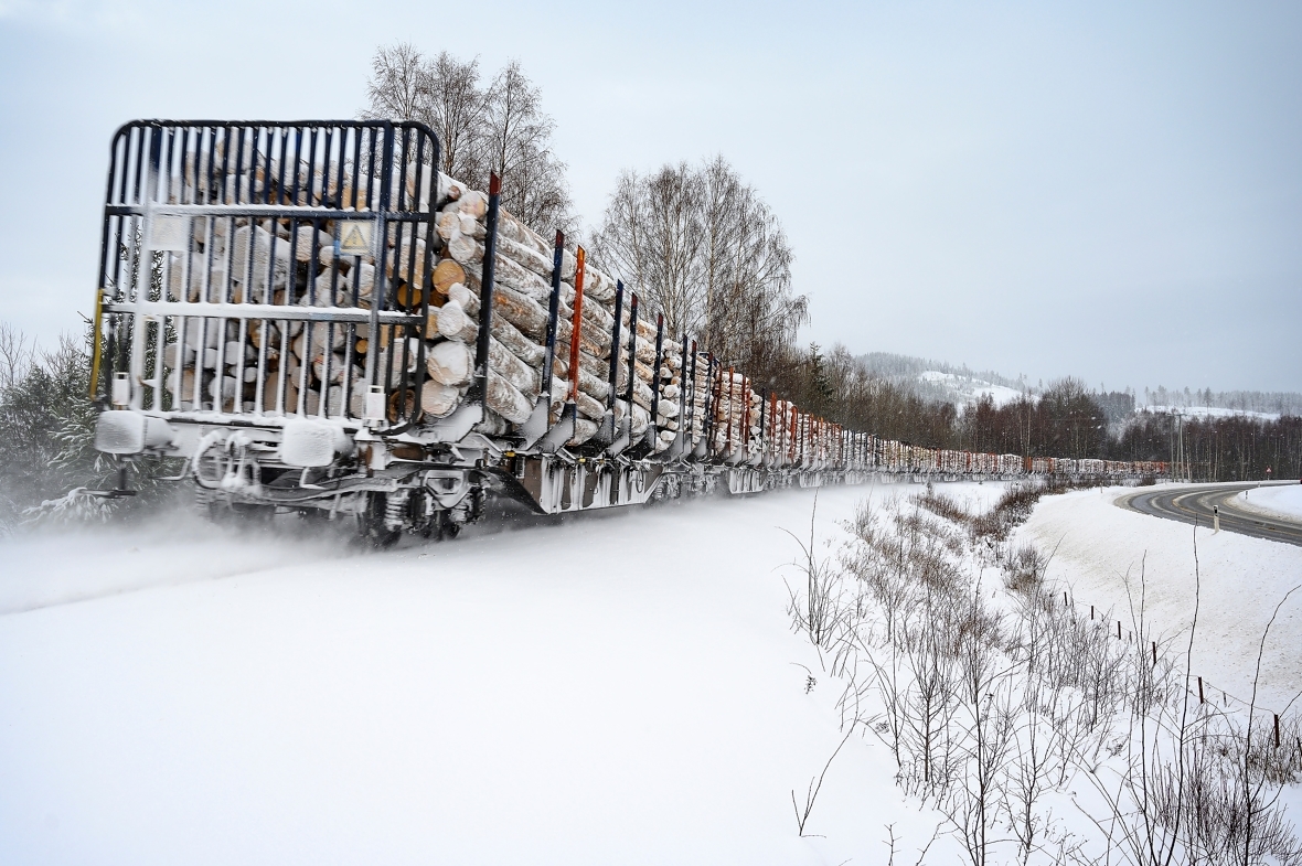 FULLE TØMMERTOG: Det siste året har nærmere tre millioner kubikkmeter med tømmer blitt transportert via jernbanen.