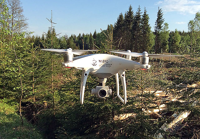 Droner har mange anvendelsesområder i skogbruket, og kan også brukes til kontroll av foryngelsesfelt. 