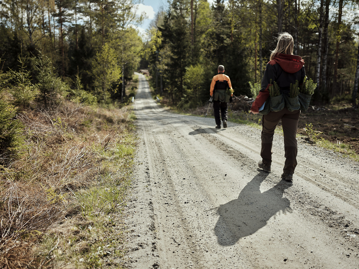 Praktisk talt hele det norske skogbruket er miljøsertifisert. Her er skogeier på vei ut for å plante etter hogst.