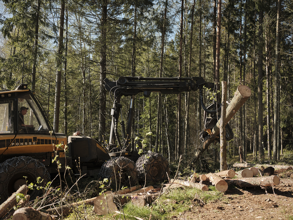 Skogeiersamvirkene har til sammen rundt 30 000 medlemmer og står for over 80 prosent av norsk tømmeromsetning.