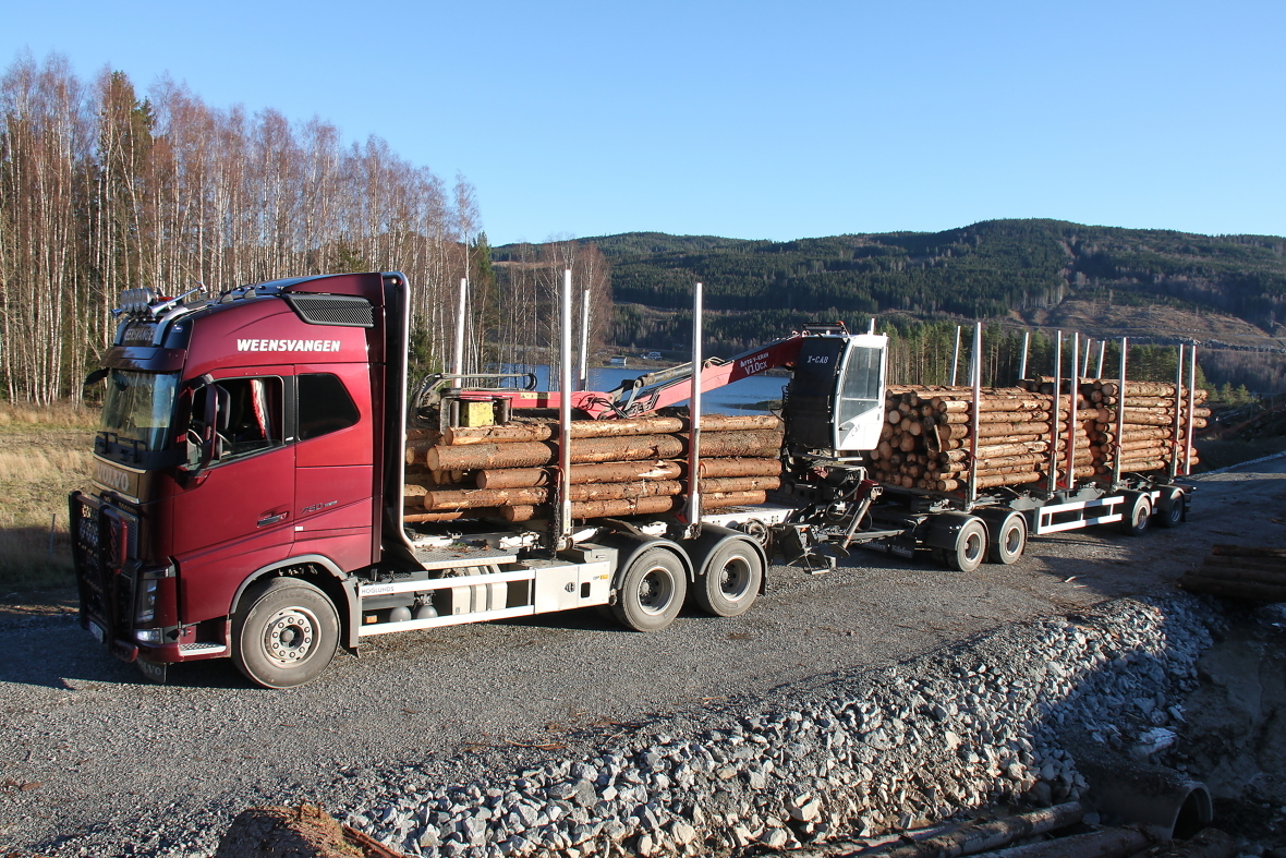 Dette vogntoget er lastet slik at det veier 50 tonn totalt. Hvis det hadde vært tillatt med en totalvekt på 60 tonn, ville man kunne frakte betydelig mer tømmer. 