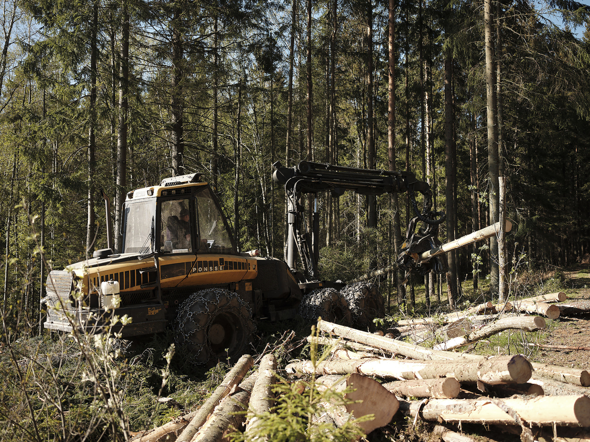 Skal vi løse klimautfordringene, er vi avhengig av å kunne drive et bærekraftig skogbruk som kan levere fornybar biomasse til industrien. Vedtaket i EU-parlamentet truer lønnsomheten i skogbruket. Noe som igjen vil svekke muligheten for å bruke skogen til å lage fornybare produkter. 