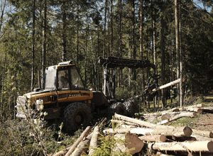 EU vil begrense bioenergi fra skogen 
